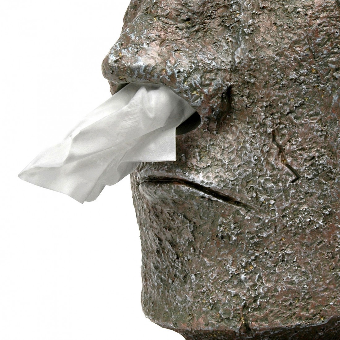 La statua Moai distributore di fazzoletti
