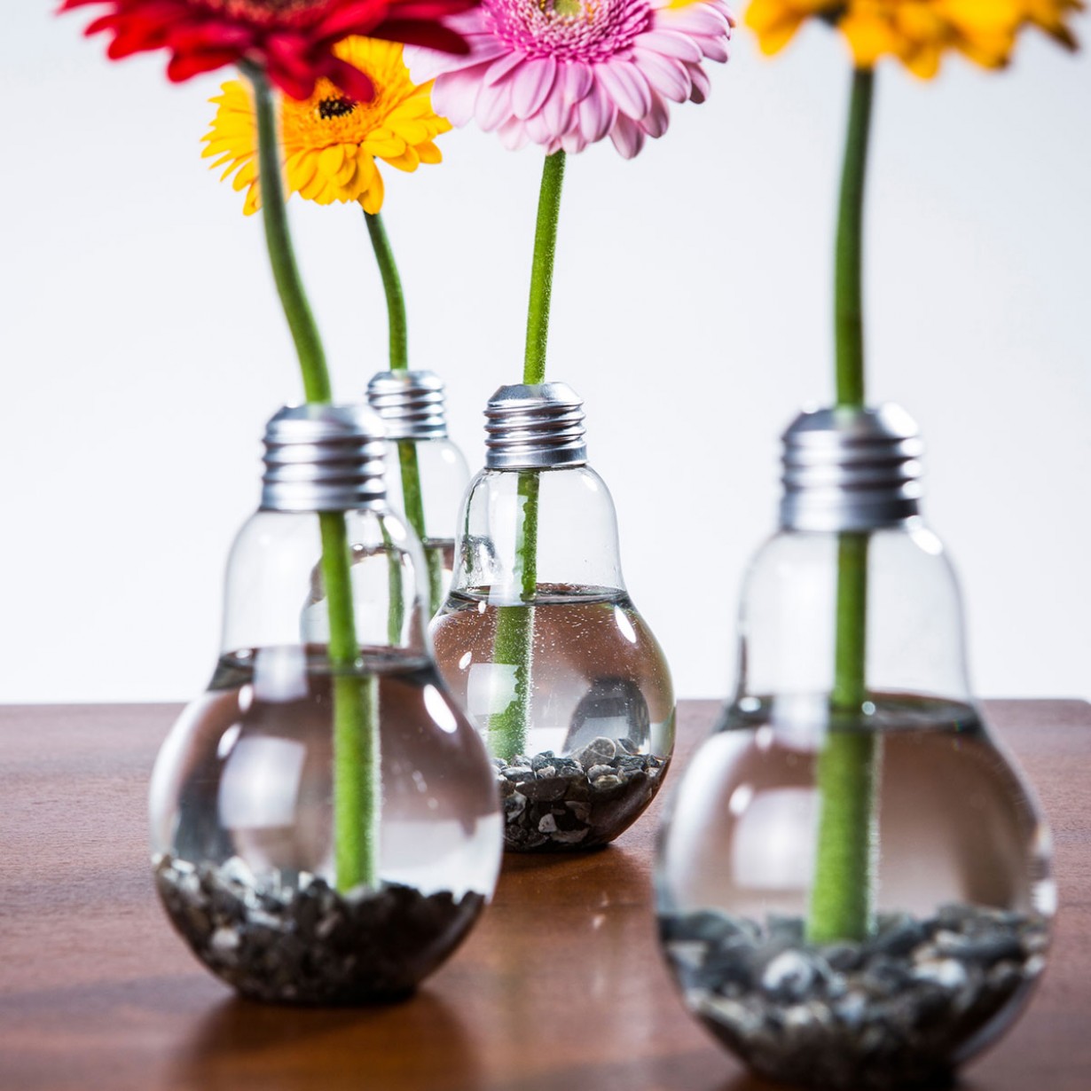 Le lampadine vaso
