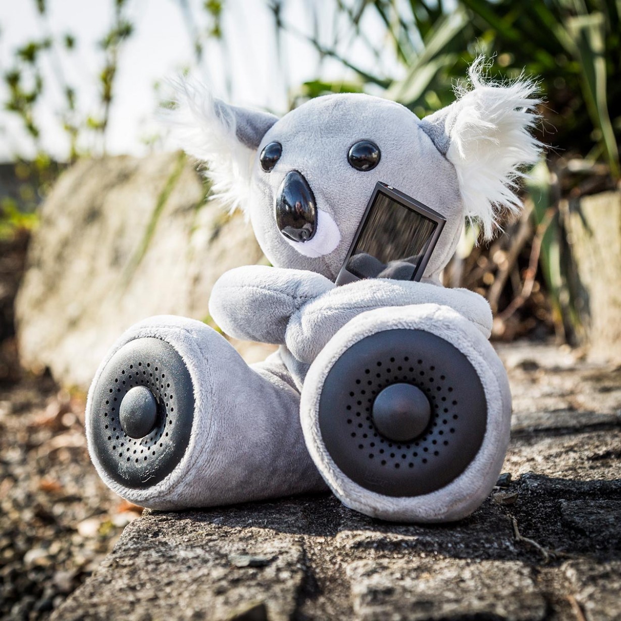 Il koala Hi-Fun