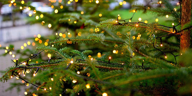 Luci di Natale e decorazioni luminose per creare la giusta atmosfera natalizia